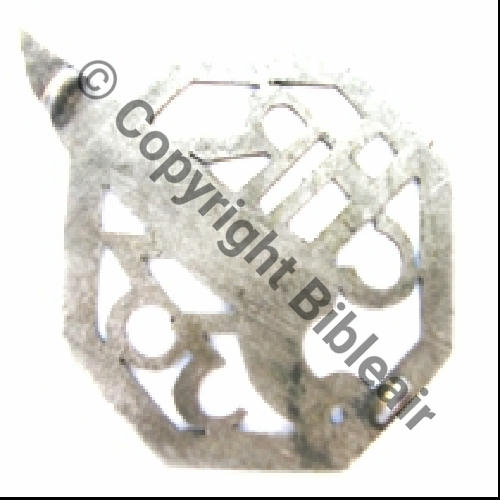 CIE HORS RANG 33eRA  SM Dos lisse irreg 2Anneaux Src.D.LEZIN 